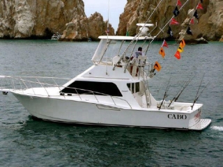 paseando por el arco